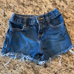 24 month boot cut Oshkosh cutoff denim Jean shorts